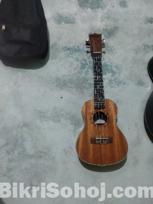 Ukulele yamaha uk24-40